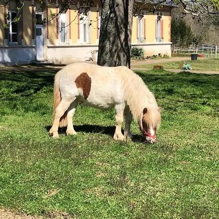 2 5 Personnes Dans Le Château De La Bouchatte Hébergement de vacances *