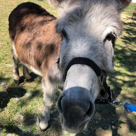 Du Campagnard Du Chateau De La Bouchatte Holiday home *