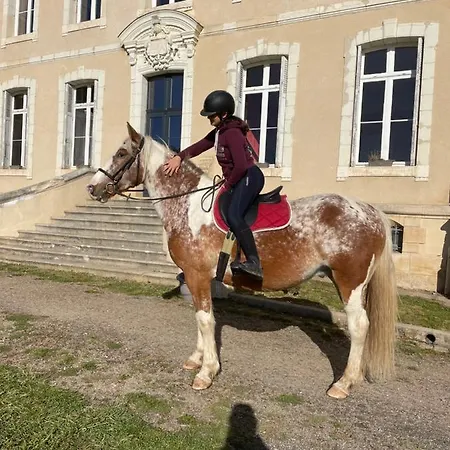 2 5 Personnes Dans Le Château De La Bouchatte